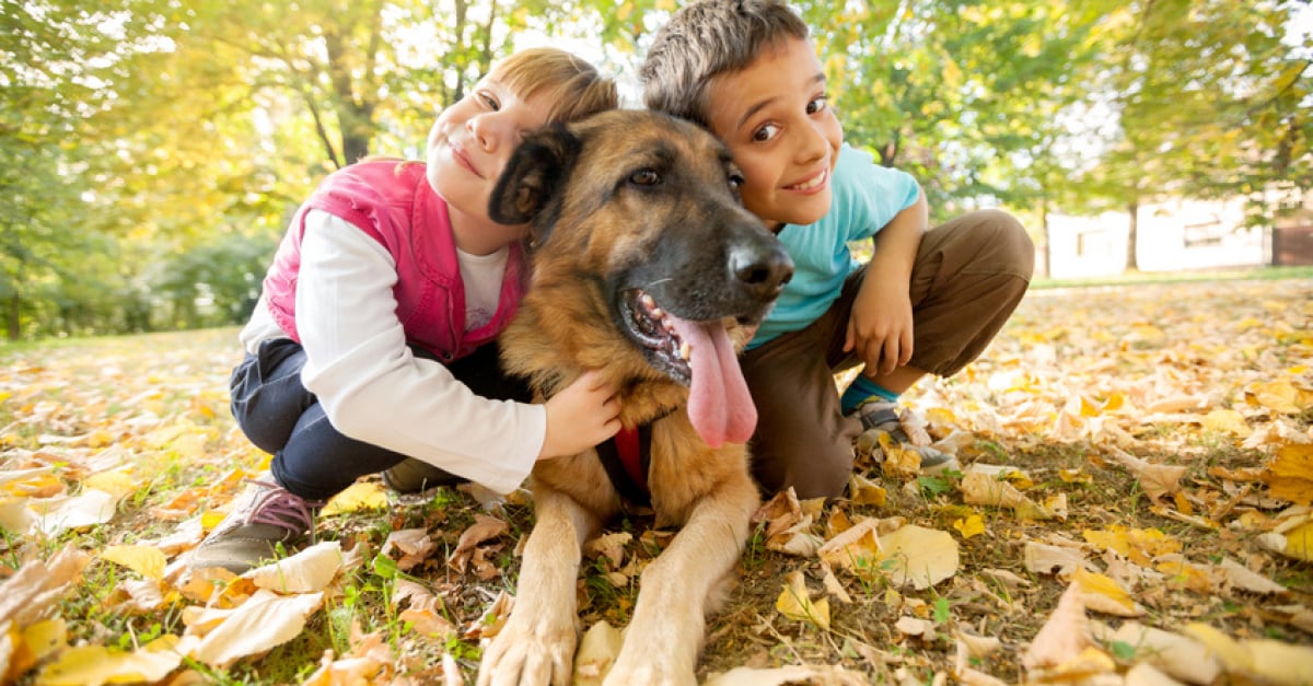 Choisir un chien pour son enfant : conseils et races prédisposées