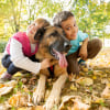 Illustration : Choisir un chien pour son enfant