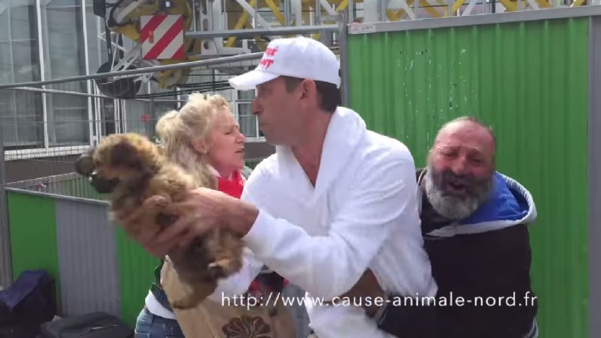 Illustration : "Le chiot volé par une association pourrait être rendu au SDF ! "