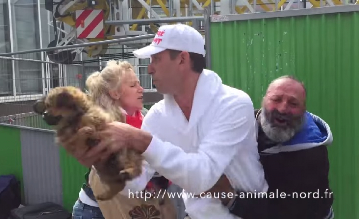 Illustration : "Le chiot volé par une association pourrait être rendu au SDF ! "