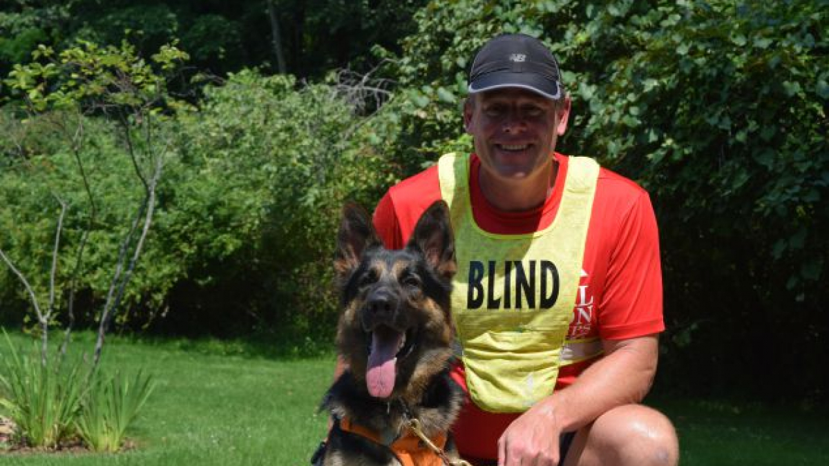 Illustration : "Voici Klinger, le premier chien guide d'aveugle joggeur"