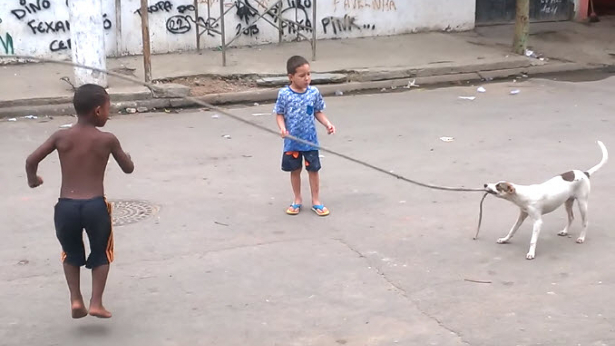 Illustration : "Ce chien qui adore jouer à la corde à sauter avec les enfants est le chouchou de la favela"