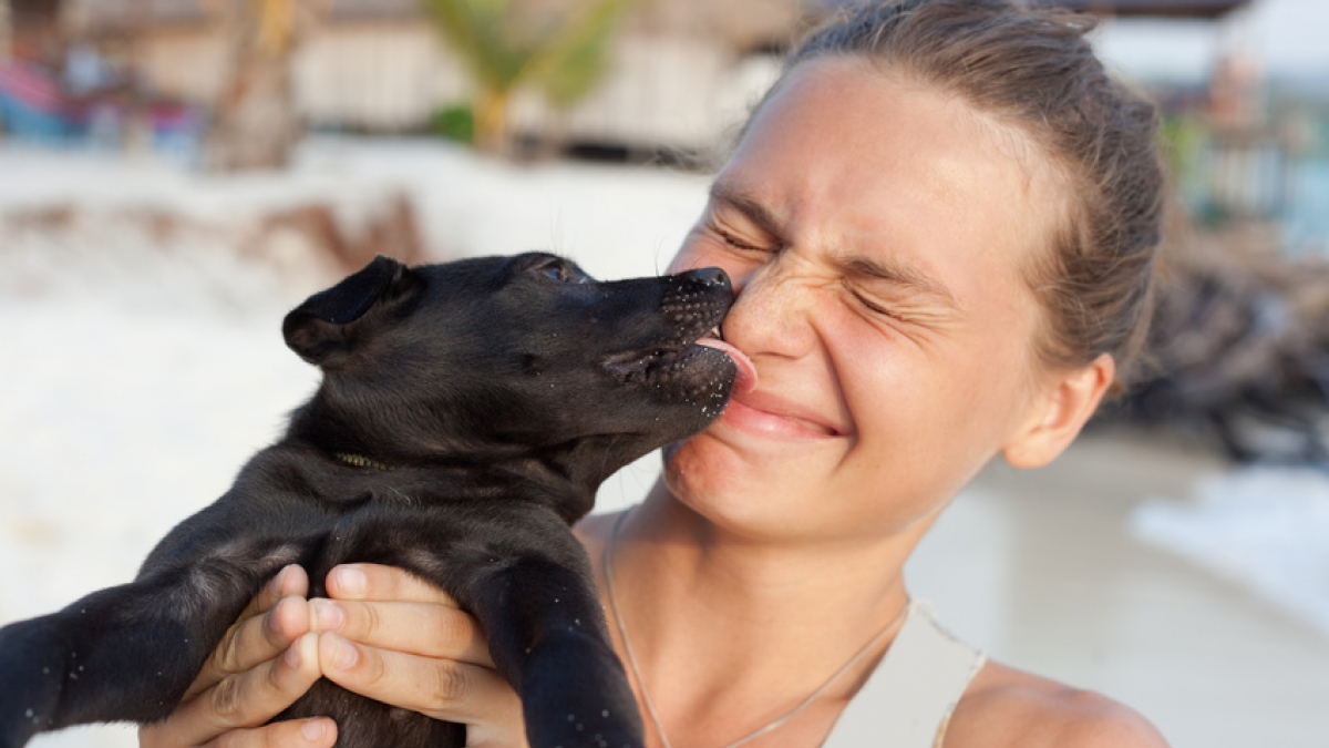 Illustration : "Les meilleurs noms en L pour un chien"