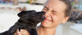 Illustration : "Les meilleurs noms en L pour un chien"