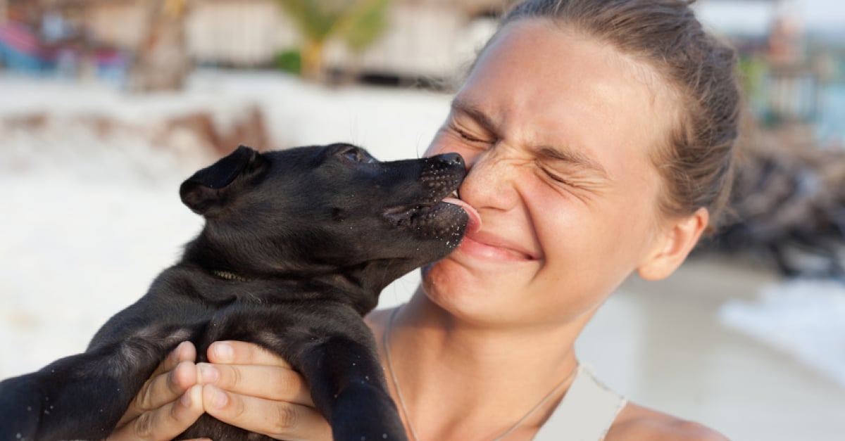 Comment accepter la mort de mon animal adoré