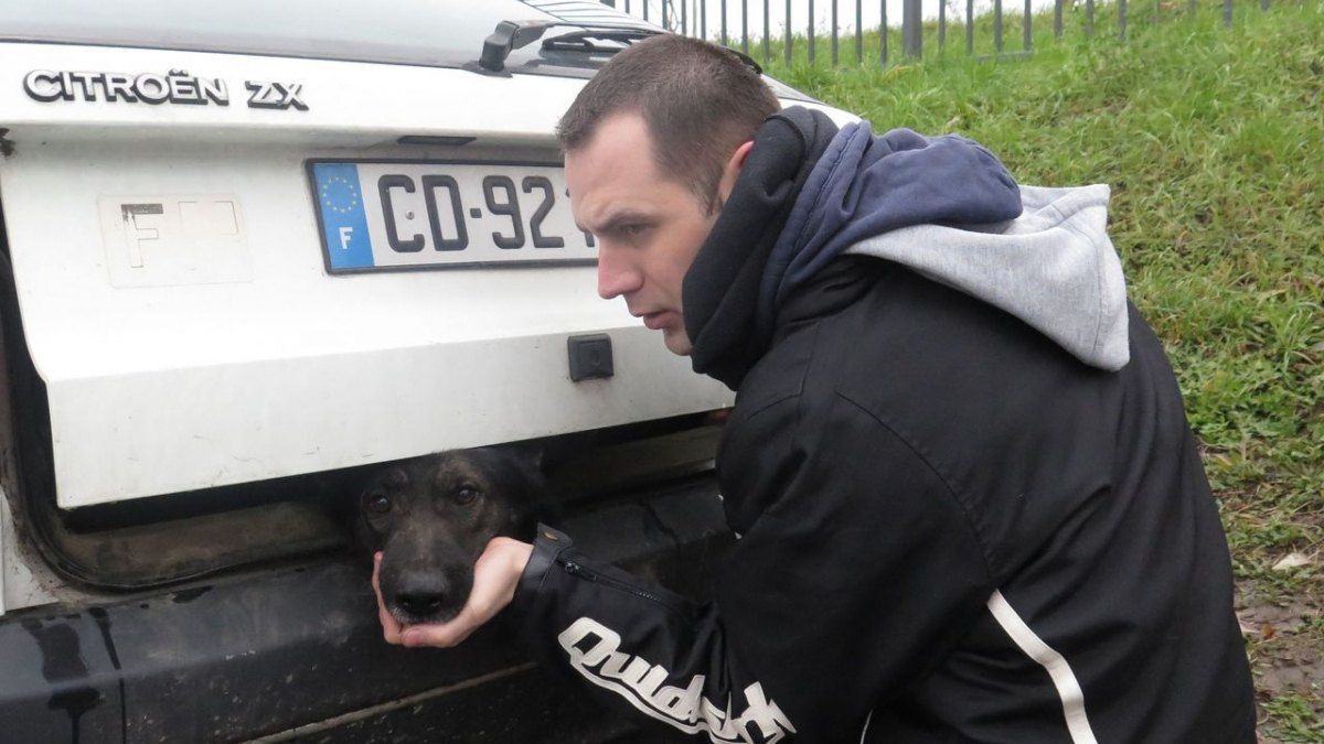 Illustration : "Le propriétaire d’un chien condamné pour l’avoir laissé dans le coffre de sa voiture"