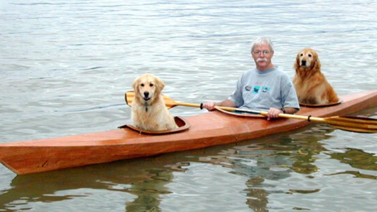 Illustration : "Un homme construit un kayak pour ses chiens !"