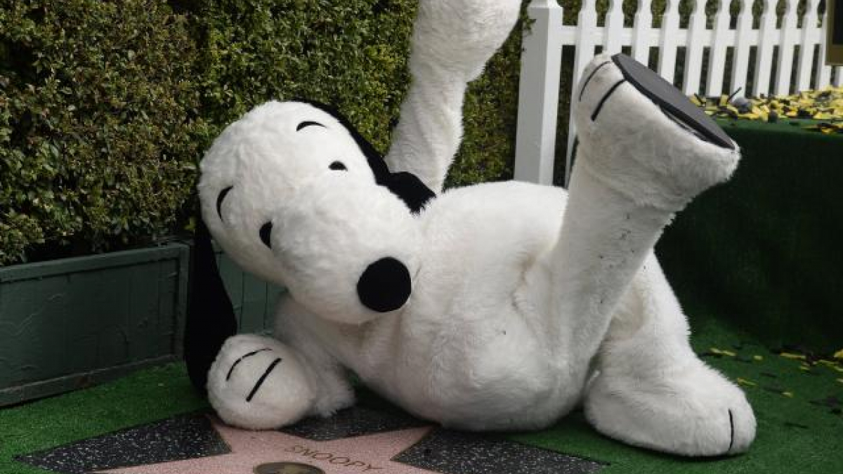 Illustration : "Snoopy a son étoile sur le Walk of Fame d'Hollywood"