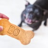 Illustration : Les meilleurs noms en M pour un chien