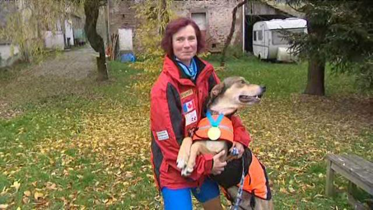 Illustration : "Une Vosgienne et son chien champions du monde de canicross"