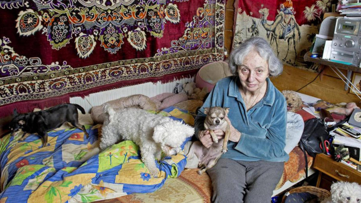 Illustration : "Cette dame âgée tient à garder ses chiens rejetés par leurs anciens propriétaires"