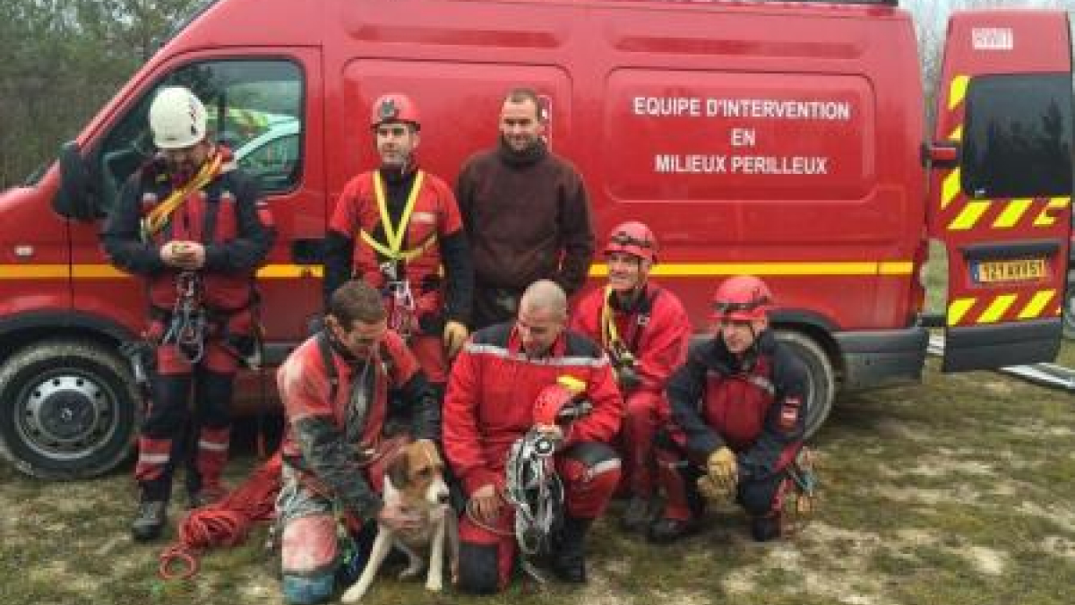 Illustration : "Les pompiers sauvent un chien tombé dans une sape au beau milieu d’un terrain militaire"