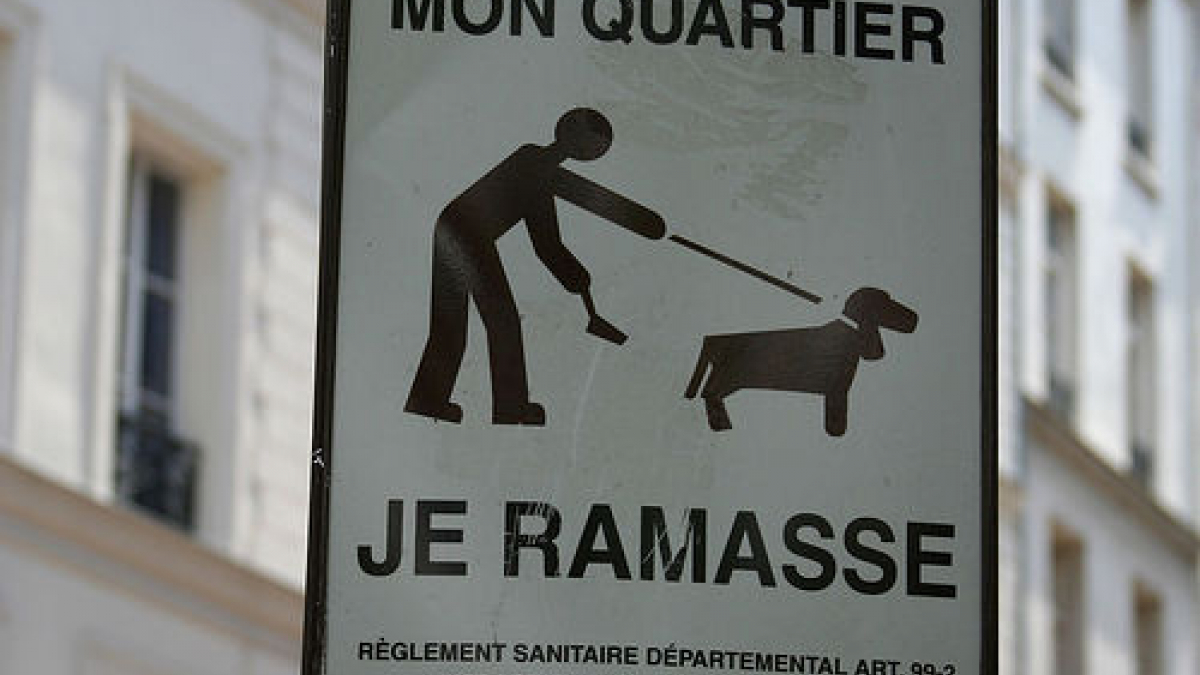 Illustration : "Irlande : des lampadaires parlants pour lutter contre les déjections canines"