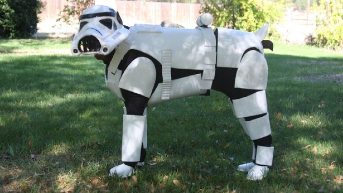 Illustration : "Elle transforme son chien en Stormtrooper pour des oeuvres de charité "