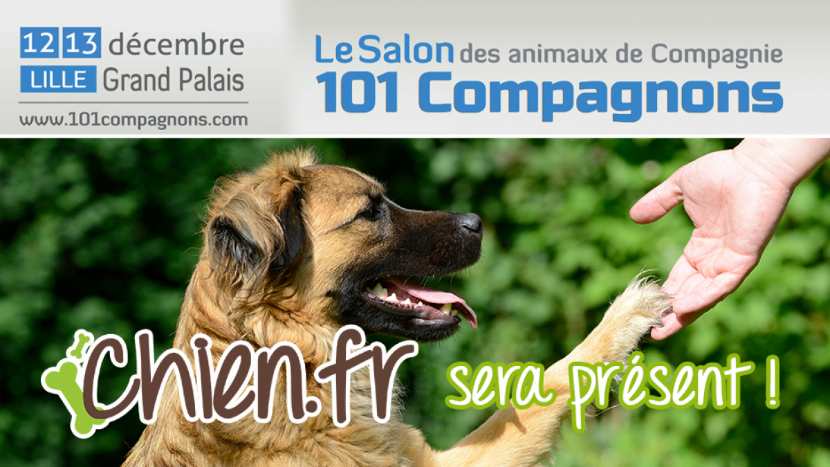 Illustration : "Chien.fr présent au Salon des Animaux de Compagnie à Lille Grand Palais du 12 au 13 décembre 2015 ! "