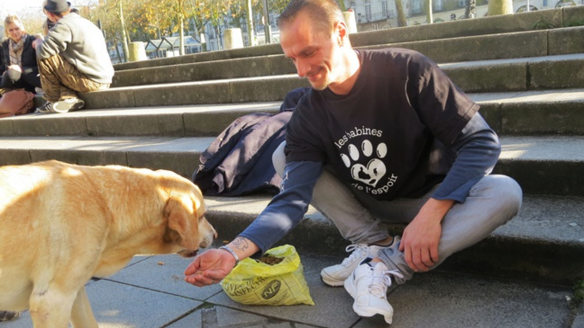 Illustration : "Un ancien SDF crée les Restos du coeur pour les chiens des rues !"