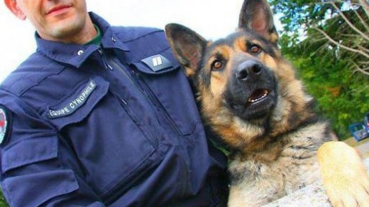 Illustration : "Un chien de la Gendarmerie retrouve un pensionnaire de maison de retraite qui s’était égaré"
