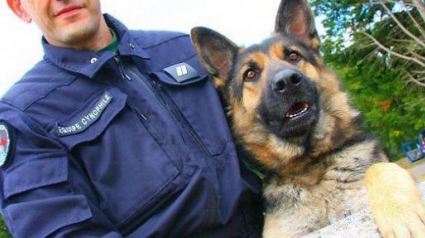 Illustration : Un chien de la Gendarmerie retrouve un pensionnaire de maison de retraite qui s’était égaré