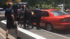 Illustration : Australie : 2 chiens enfermés dans une voiture en pleine canicule. Un a dû être euthanasié