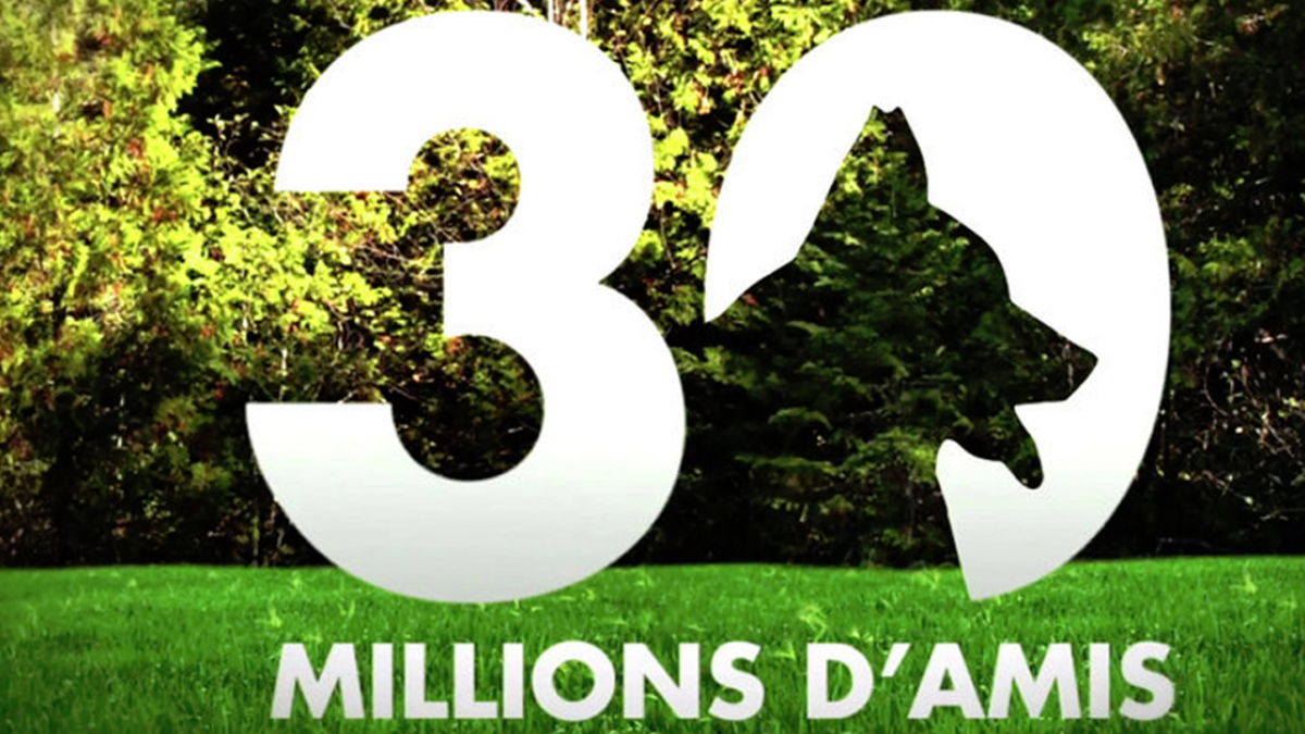 Illustration : "France 3 annonce la fin de l'émission emblématique "30 Millions d'amis" en juin prochain !"