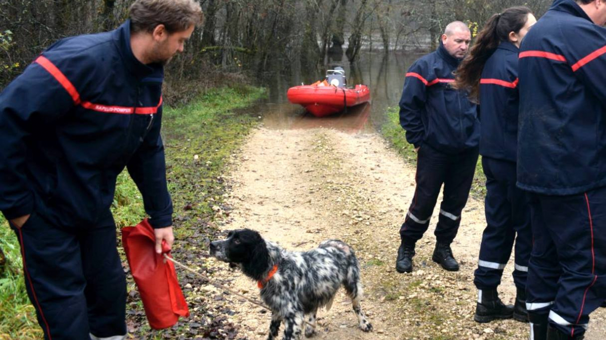 Illustration : "Lot : Les pompiers sauvent un chien et les 3 chasseurs qu’il accompagnait"