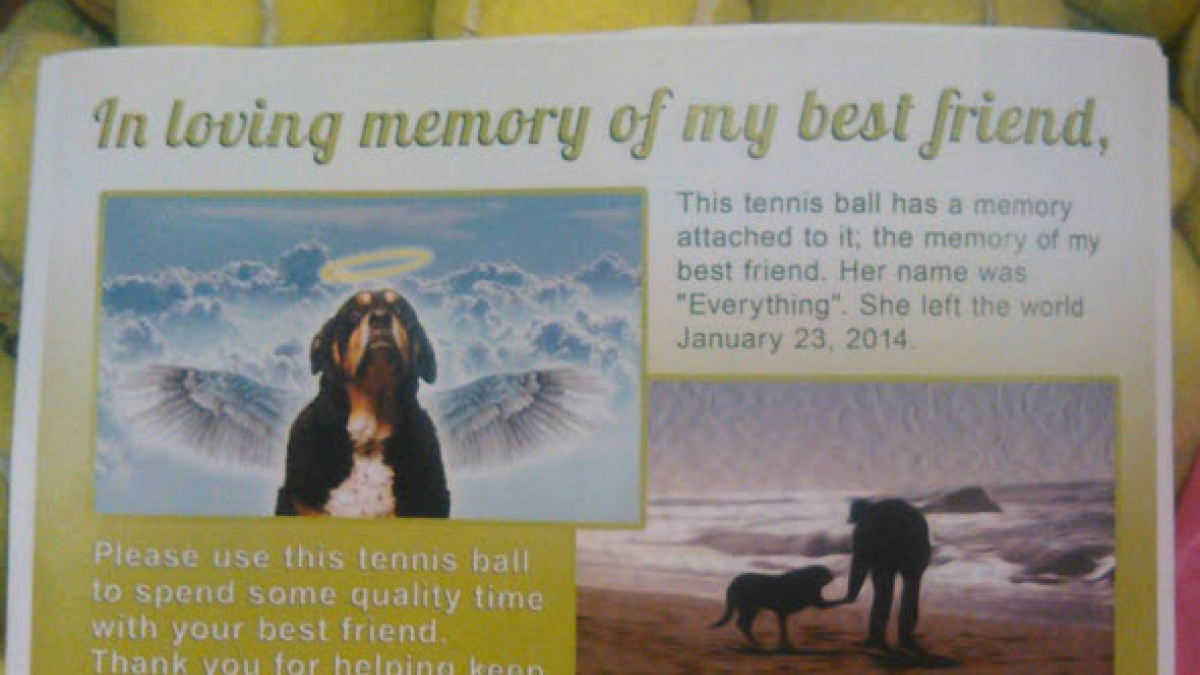 Illustration : "Il distribue des balles de tennis pour rendre hommage à son chien disparu"