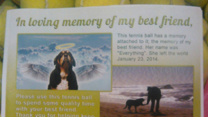 Illustration : Il distribue des balles de tennis pour rendre hommage à son chien disparu