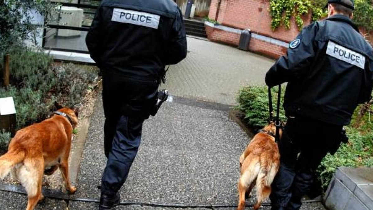Illustration : "Belgique : quand la Police de Charleroi recrute ses agents canins auprès de la SPA"