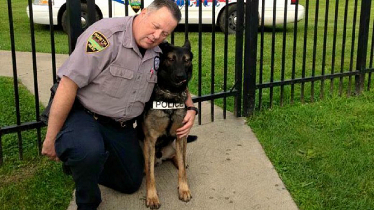 Illustration : "Le maître chien de la police de l’Ohio a pu racheter son chien contre 1 dollar"