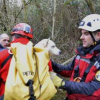 Illustration : Somme : les sapeurs-pompiers du GRIMP portent secours à un chien tombé dans un puits