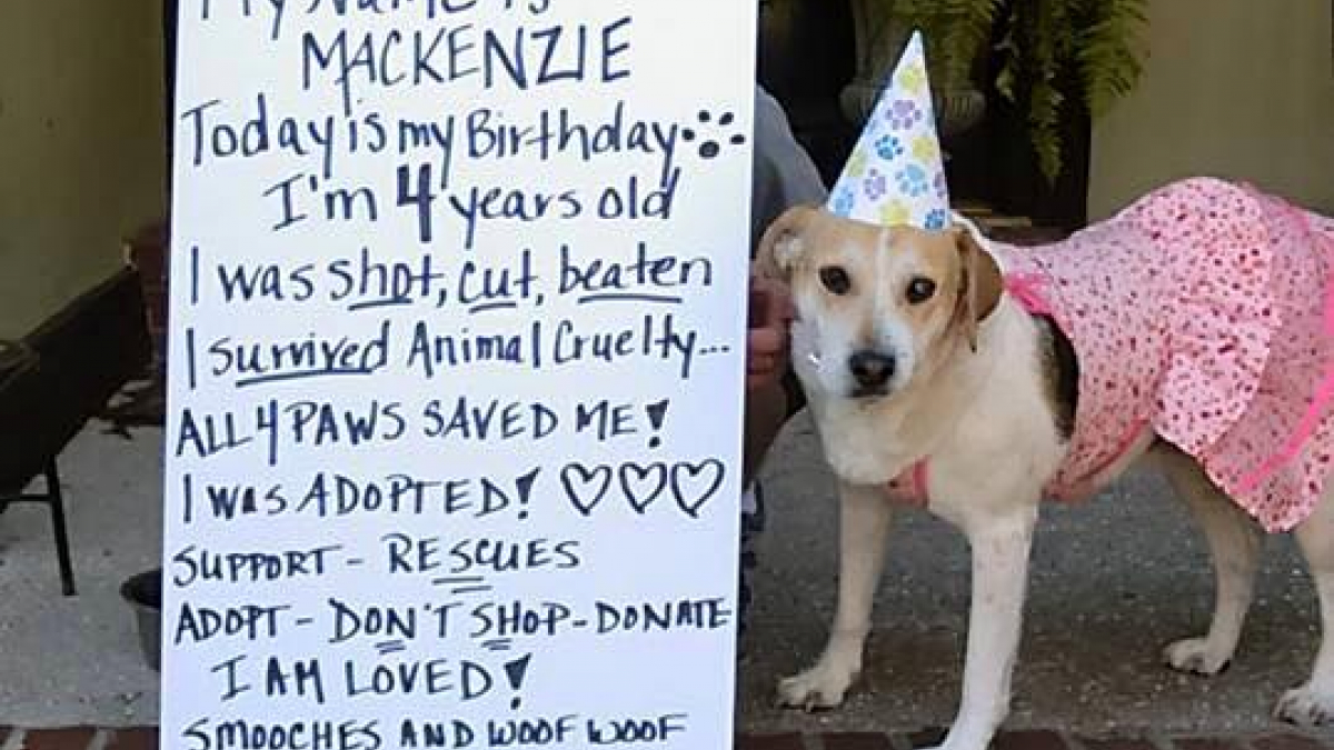 Illustration : "Mackenzie adresse un message de remerciement à ceux qui l'ont sauvée"