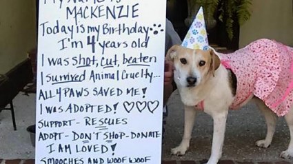 Illustration : Mackenzie adresse un message de remerciement à ceux qui l'ont sauvée