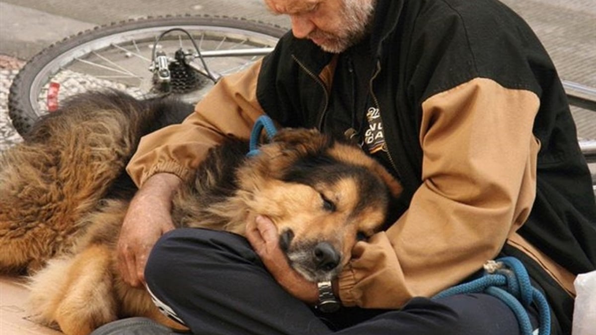 Illustration : "9 photos émouvantes de SDF et de leurs chiens qui montrent que la loyauté canine est inconditionnelle"