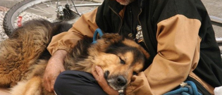 Illustration : "9 photos émouvantes de SDF et de leurs chiens qui montrent que la loyauté canine est inconditionnelle"