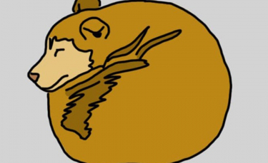 Illustration : "La position de sommeil de votre chien peut en dire long sur sa personnalité"