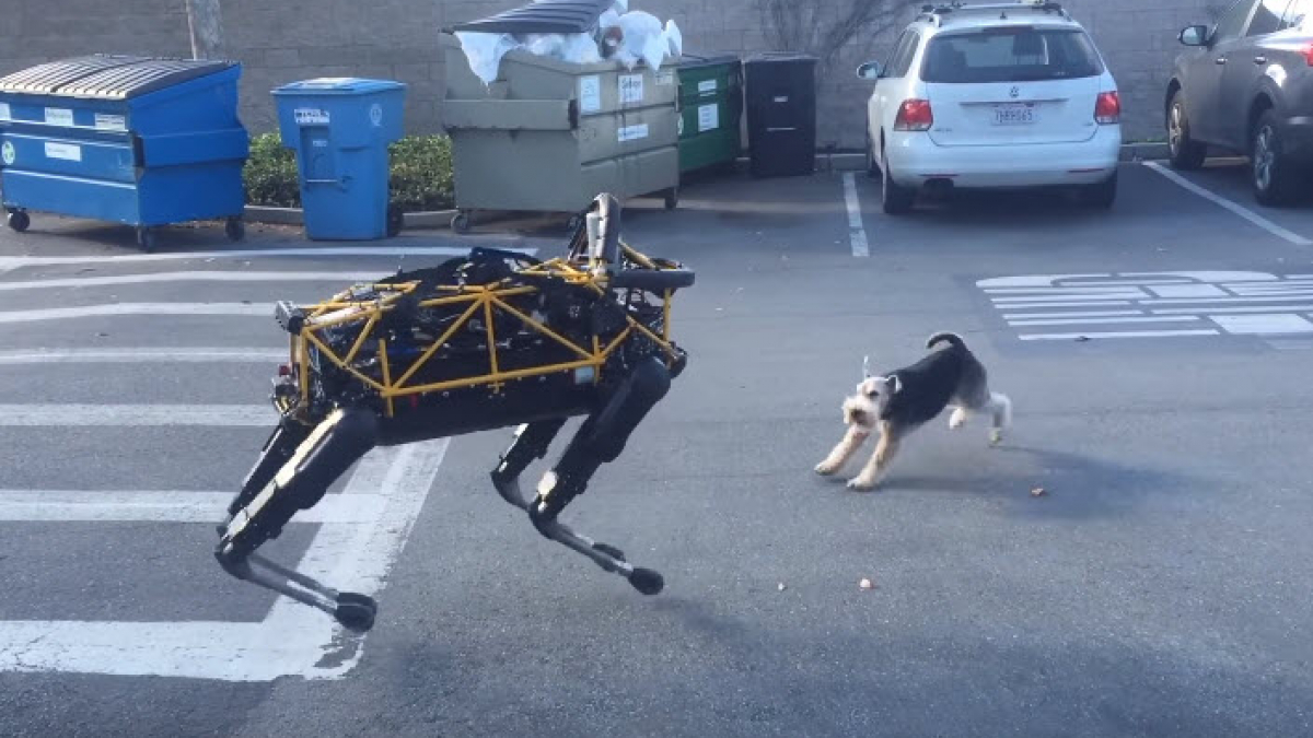 Illustration : "La réaction d’un Fox Terrier face à un robot-chien"