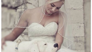 Illustration : 17 photos adorables de chiens qui fêtent le mariage de leurs maîtres