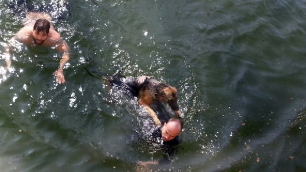 Illustration : "Nîmes : il passe 20 minutes dans l’eau froide pour sauver son chien"