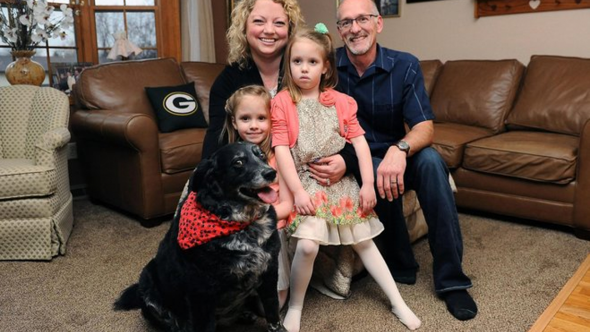 Illustration : "La chienne Abby a flairé le monoxyde de carbone dans la maison et a sauvé sa famille"