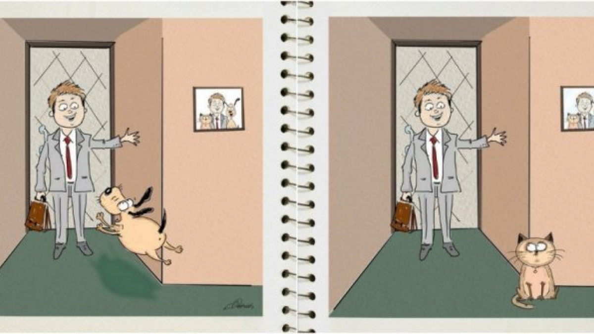 Illustration : "5 dessins qui illustrent avec humour les différences entre les chiens et les chats"