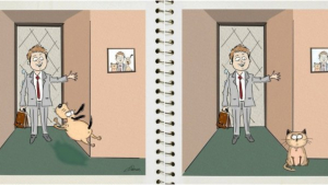 Illustration : 5 dessins qui illustrent avec humour les différences entre les chiens et les chats