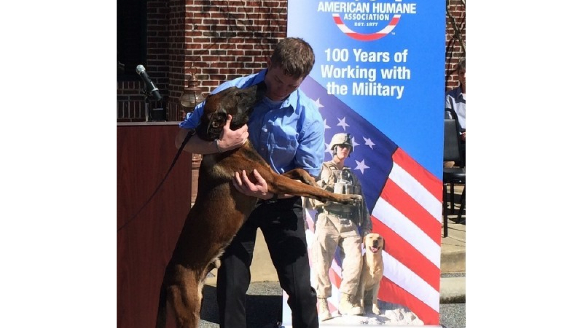 Illustration : "Etats-Unis : une association et la police joignent leurs efforts pour réunir le chien soldat et son ancien maître"