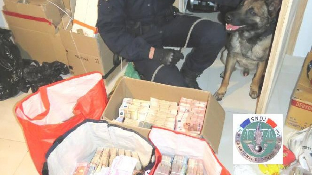 Illustration : "Val d'Oise : Haïko, un chien de la Gendarmerie flaire plus de 2 millions d'euros lors d'une opération ! "