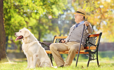 Illustration : "Protéger son chien du soleil"