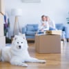 Illustration : Pr&eacute;parer son chien au d&eacute;m&eacute;nagement