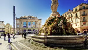 Illustration : Montpellier, la ville où il fait bon vivre pour un chien