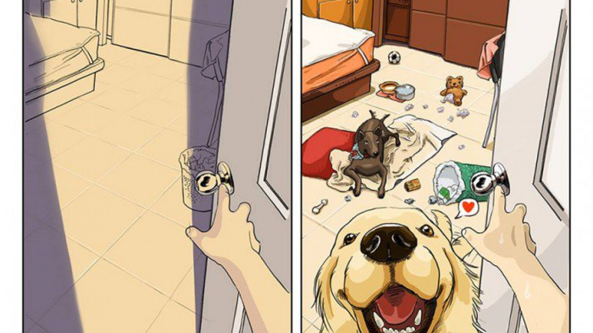 Illustration : "8 illustrations de vos habitudes qui ont été bouleversées depuis que vous avez un chien !"