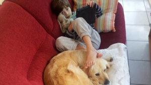 Illustration : Noah, 10 ans et autiste interdit d'apporter son chien d'assistance en classe par le Conseil Général !