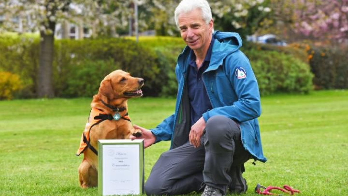 Illustration : "Royaume-Uni : un chien reçoit une médaille pour avoir sauvé la vie d’une femme"