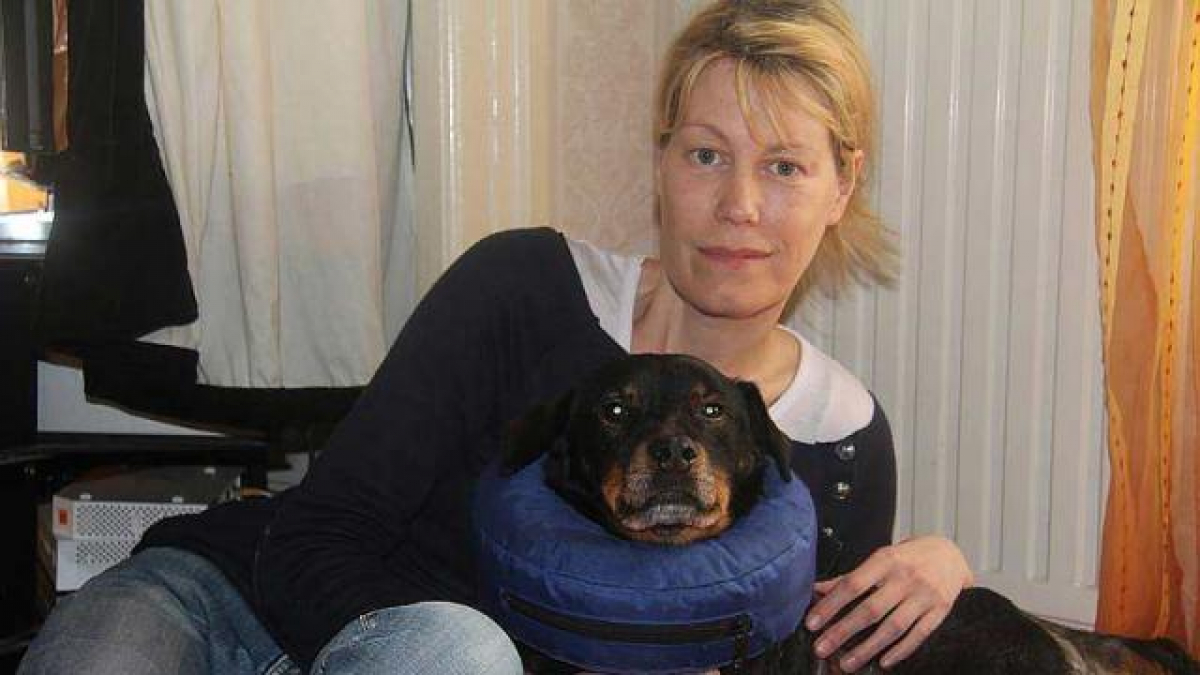 Illustration : "Après le décès de leur maître, une femme demande de l'aide pour soigner les chiens du défunt ! "